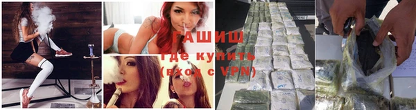 крисы Зеленокумск