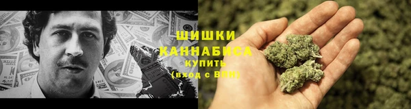 крисы Зеленокумск