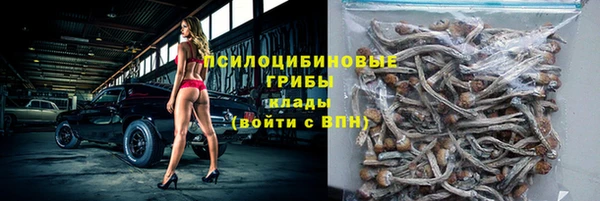 крисы Зеленокумск
