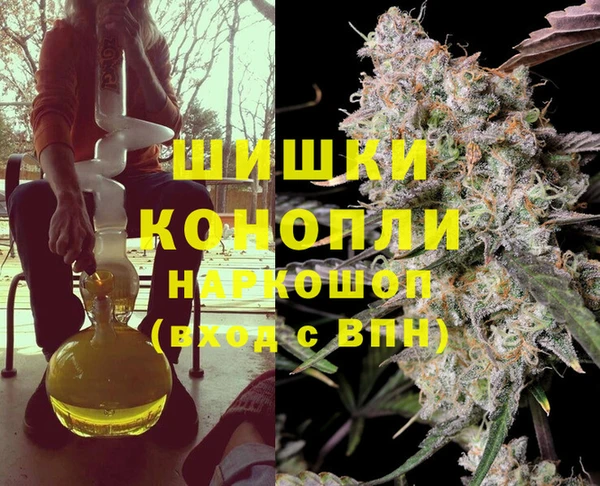крисы Зеленокумск