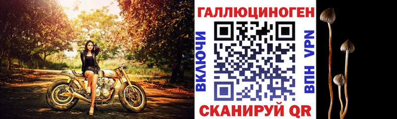 Купить  Шатура  Галлюциногенные грибы мухоморы 